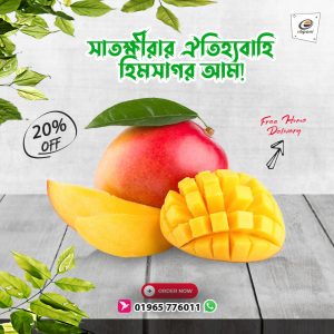 Himshagor mango satkhira