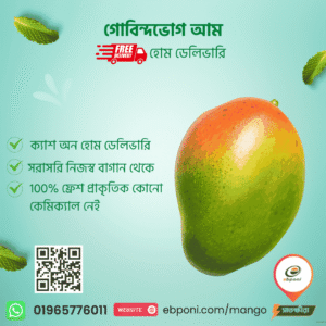 গোবিন্দভোগ আম – 20 কেজি